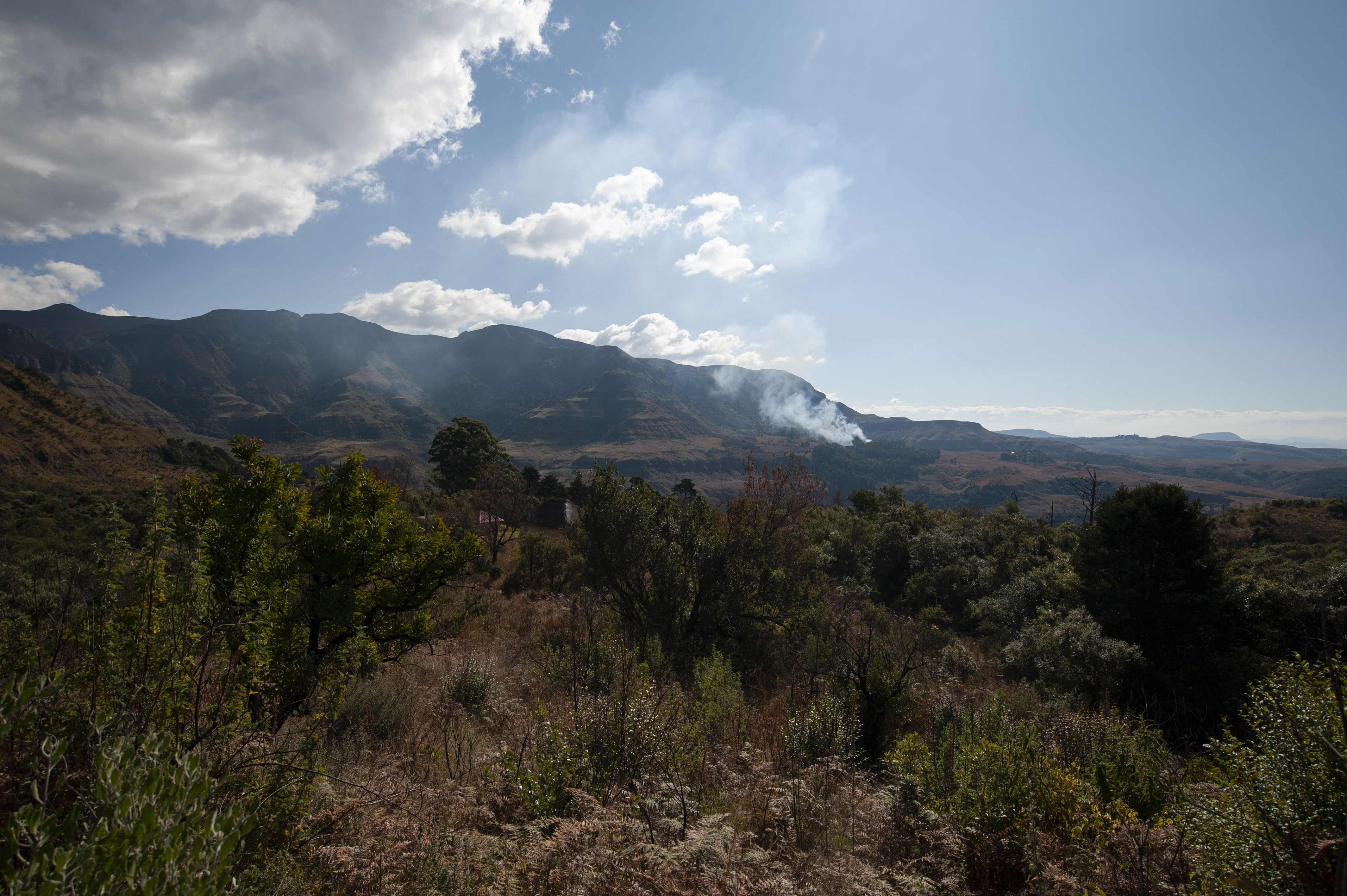 GYT 20220624 134325  DSC6040